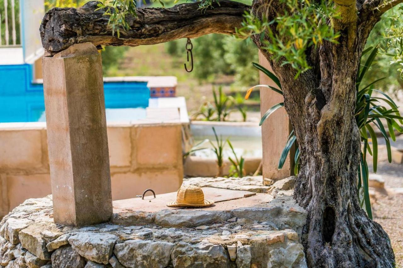 Ideal Mallorca - Ses Comes * Selva (Mallorca)
